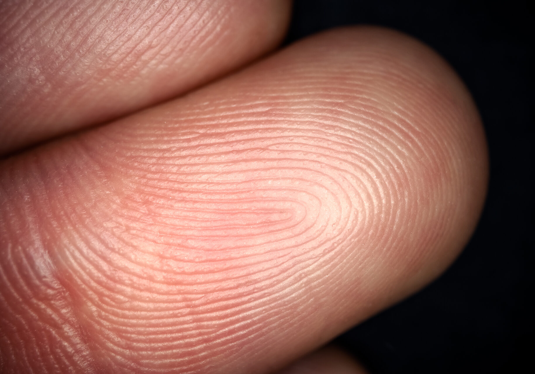 Close up of fingerprint texture. Ultra macro photography