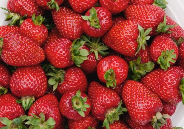 Redwood-Cherries-Berries