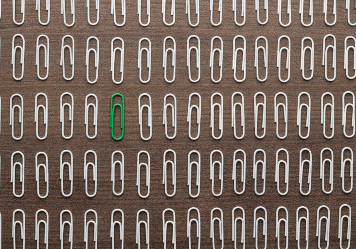 One green paperclip among dozens of white paperclips.